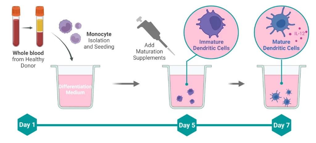 Dendritic cell assays