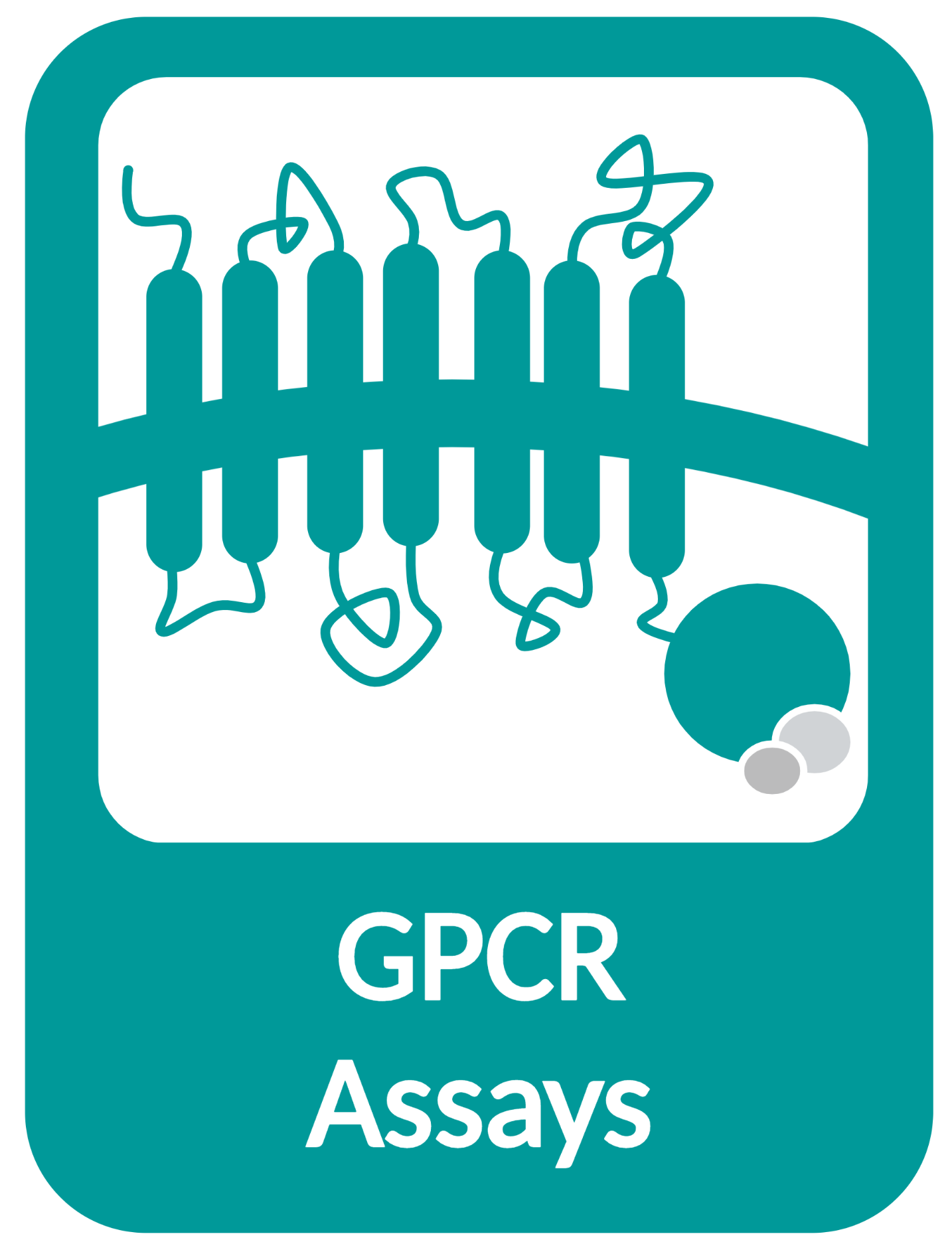 GPCR assays - BioMedha